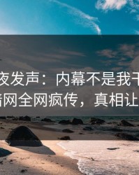 网红深夜发声：内幕不是我干的！爆料网暗网全网疯传，真相让人瞠目