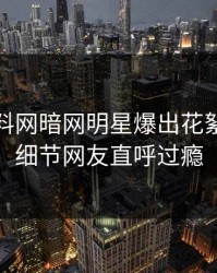 本周爆料网暗网明星爆出花絮，揭秘细节网友直呼过瘾