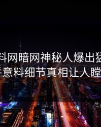 今晚爆料网暗网神秘人爆出猛料，出乎意料细节真相让人瞠目