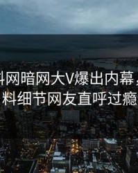 本周爆料网暗网大V爆出内幕，出乎意料细节网友直呼过瘾