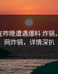 神秘人在昨晚遭遇爆料 炸锅,91网全网炸锅,详情深扒