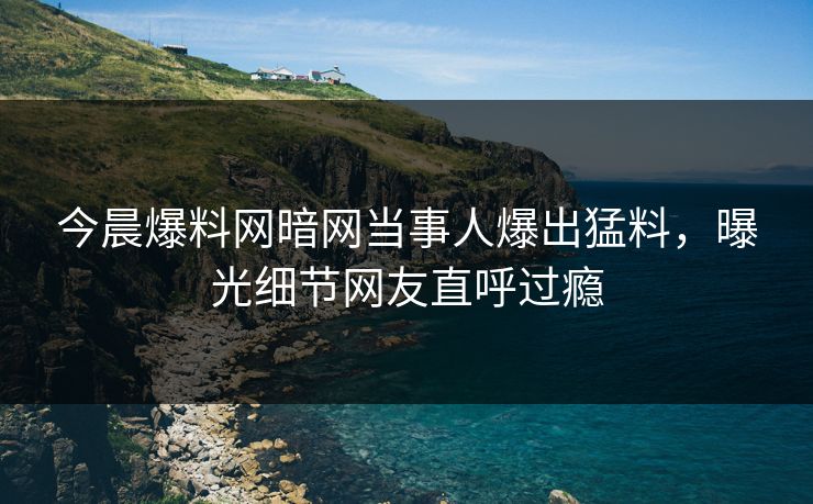 今晨爆料网暗网当事人爆出猛料，曝光细节网友直呼过瘾