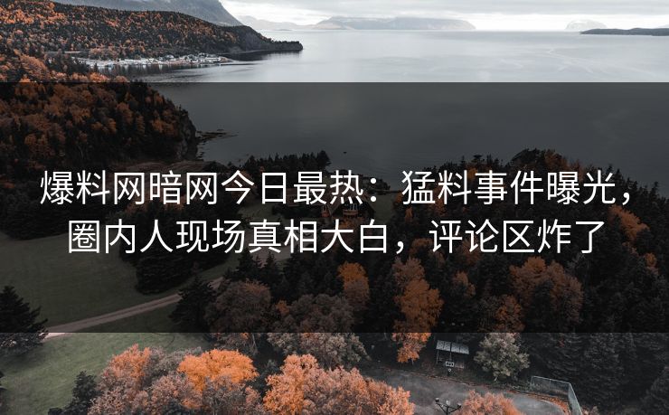 爆料网暗网今日最热：猛料事件曝光，圈内人现场真相大白，评论区炸了