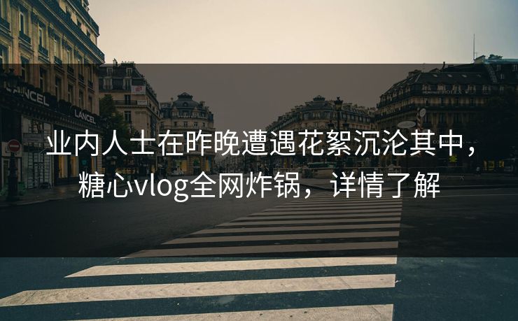 业内人士在昨晚遭遇花絮沉沦其中，糖心vlog全网炸锅，详情了解