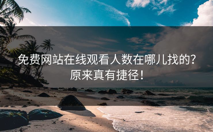 免费网站在线观看人数在哪儿找的？原来真有捷径！