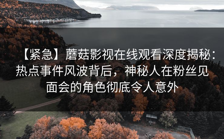 【紧急】蘑菇影视在线观看深度揭秘:热点事件风波背后,神秘人在粉丝见面会的角色彻底令人意外 【紧急】蘑菇影视在线观看深度揭秘:热点事件风波背后,神秘人在粉丝见面会的角色彻底令人意外