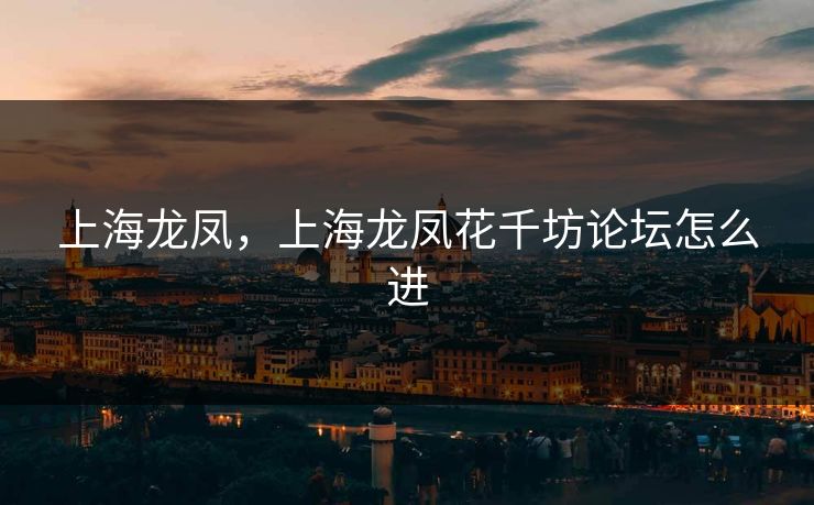 上海龙凤，上海龙凤花千坊论坛怎么进