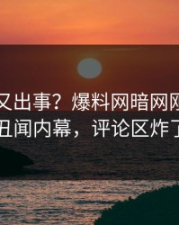 神秘人又出事？爆料网暗网刚刚曝出丑闻内幕，评论区炸了