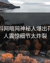 刚刚爆料网暗网神秘人爆出花絮，令人震惊细节太炸裂