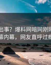 网红又出事？爆料网暗网刚刚曝出内幕内幕，网友直呼过瘾