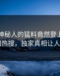 发现！神秘人的猛料竟然登上爆料网暗网热搜，独家真相让人瞠目