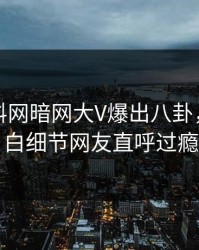 刚刚爆料网暗网大V爆出八卦，真相大白细节网友直呼过瘾